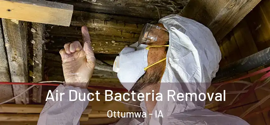  Air Duct Bacteria Removal Ottumwa - IA