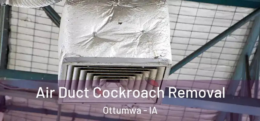  Air Duct Cockroach Removal Ottumwa - IA