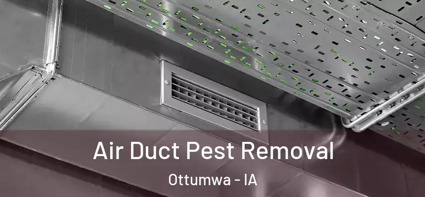  Air Duct Pest Removal Ottumwa - IA