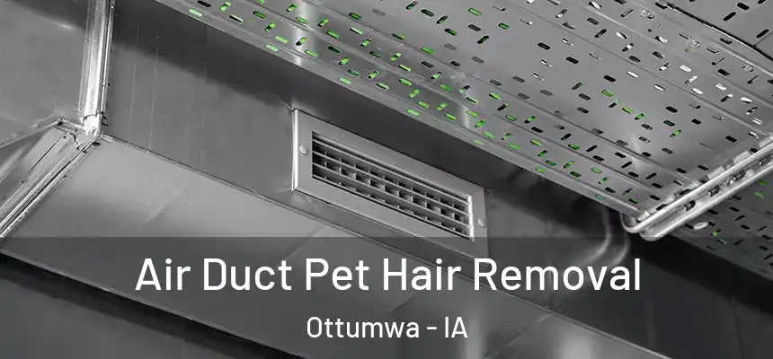  Air Duct Pet Hair Removal Ottumwa - IA