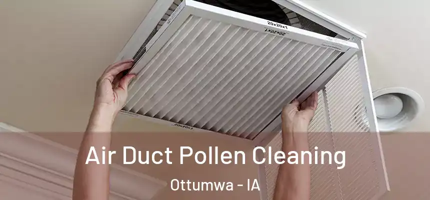  Air Duct Pollen Cleaning Ottumwa - IA