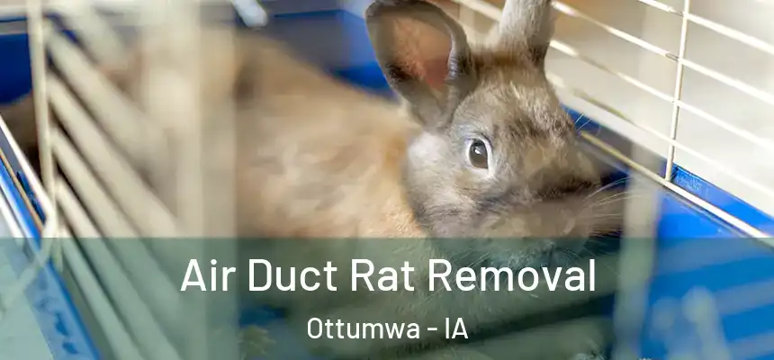  Air Duct Rat Removal Ottumwa - IA