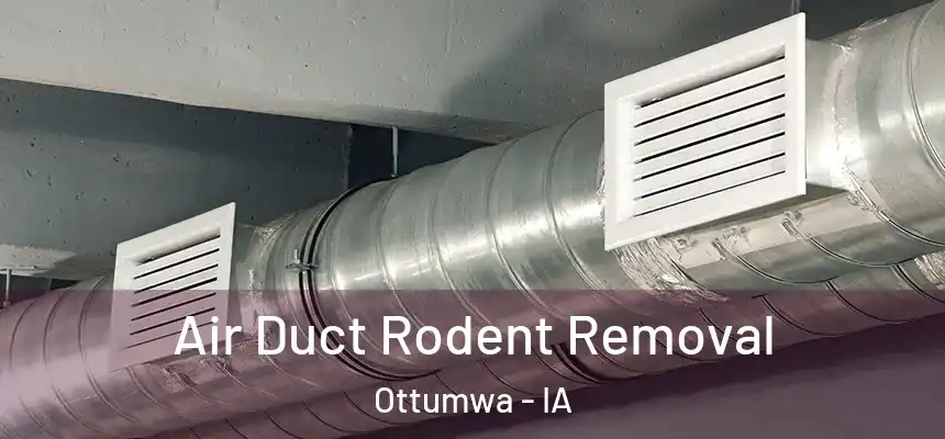  Air Duct Rodent Removal Ottumwa - IA