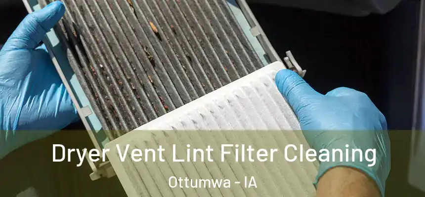  Dryer Vent Lint Filter Cleaning Ottumwa - IA
