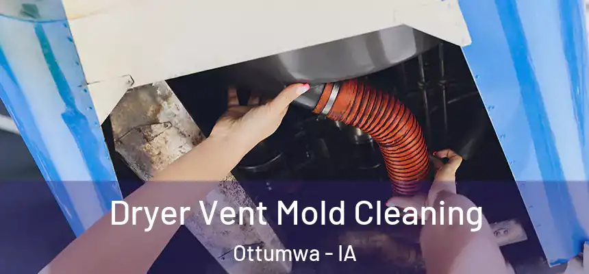  Dryer Vent Mold Cleaning Ottumwa - IA