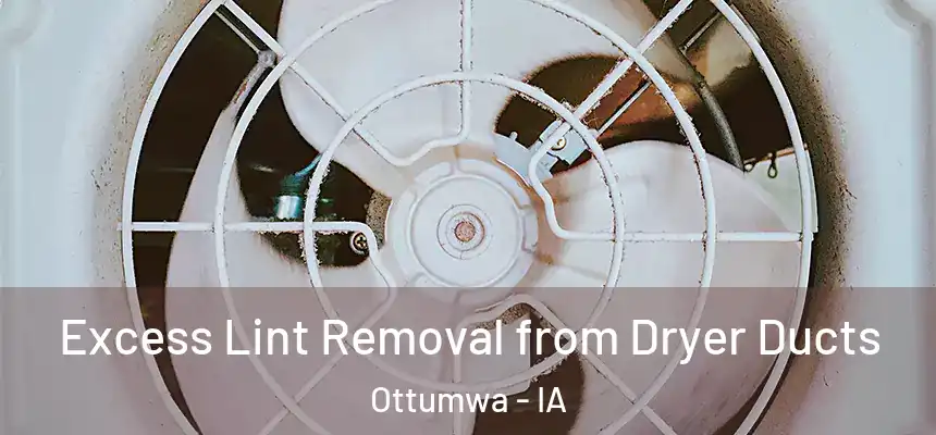  Excess Lint Removal from Dryer Ducts Ottumwa - IA