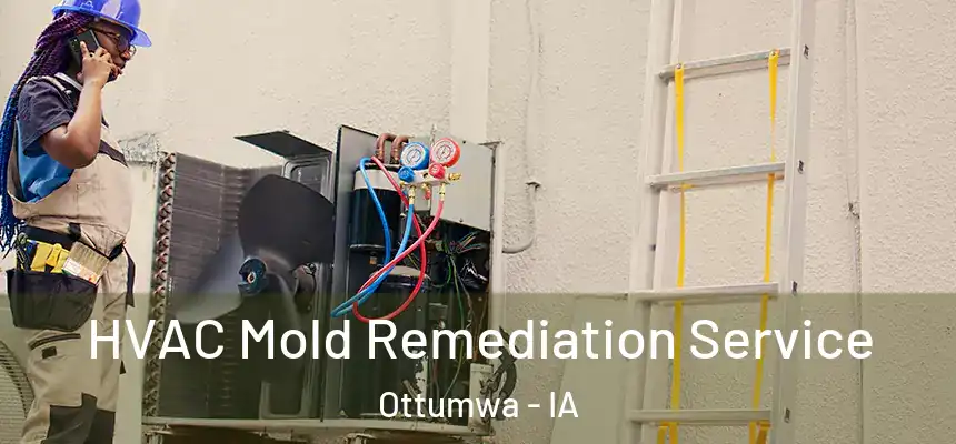  HVAC Mold Remediation Service Ottumwa - IA