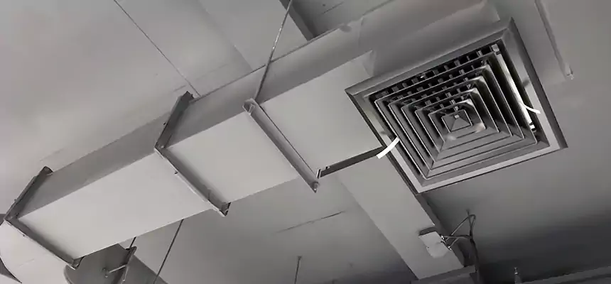 Restorative Allergy Relief Vent Cleaning – Coil, Blower & Housing Detail in Ottumwa