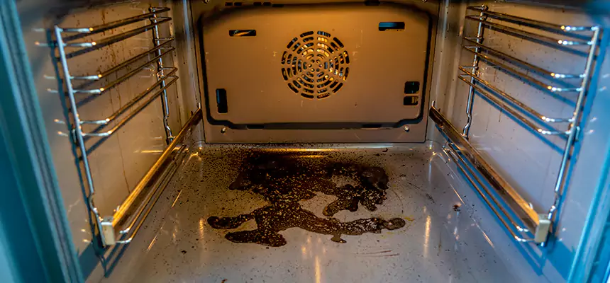 Our Dryer Vent Mold Cleaning Services in Ottumwa, IA