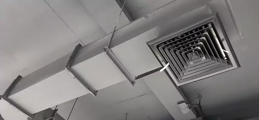 Our Pest Removal From Ducts Services in Ottumwa, IA