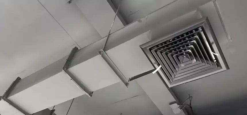 Our Rodent Droppings In Vents Services in Ottumwa, IA