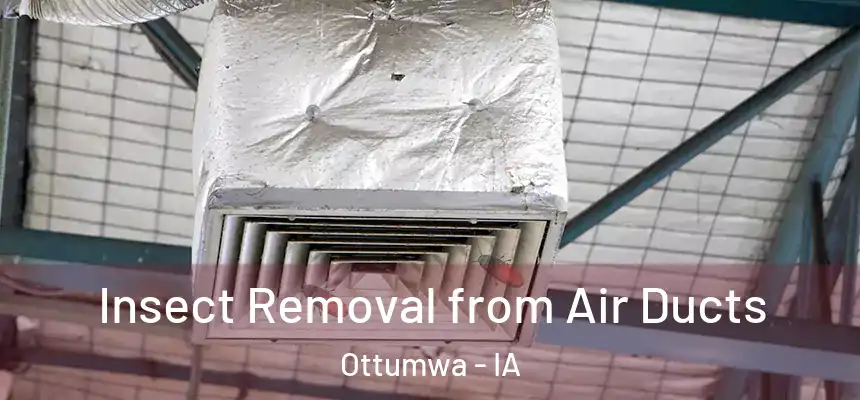  Insect Removal from Air Ducts Ottumwa - IA