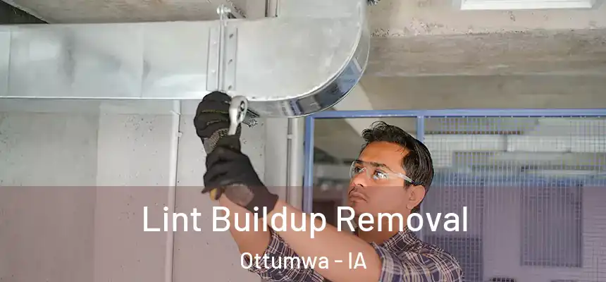  Lint Buildup Removal Ottumwa - IA