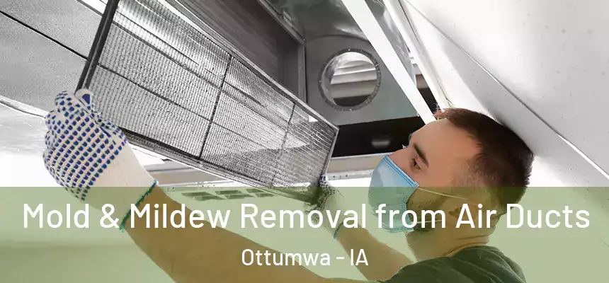  Mold & Mildew Removal from Air Ducts Ottumwa - IA