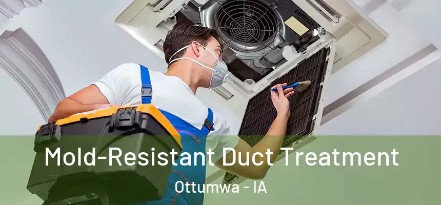  Mold-Resistant Duct Treatment Ottumwa - IA