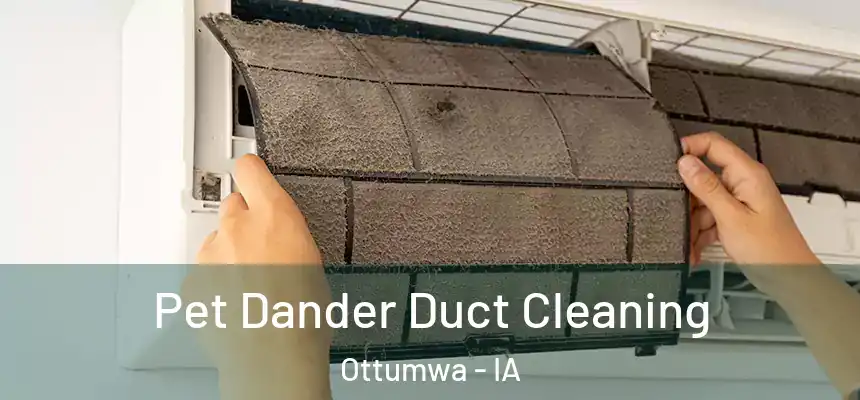  Pet Dander Duct Cleaning Ottumwa - IA