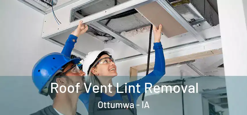  Roof Vent Lint Removal Ottumwa - IA