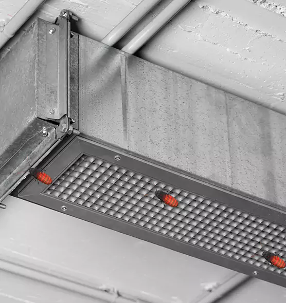 About Air Duct Cockroach Removal in Ottumwa, IA