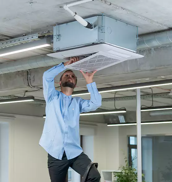 Advanced Rodent Droppings In Vents in Ottumwa, IA