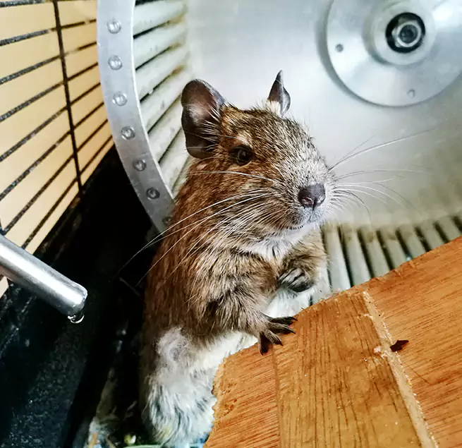 Why Homeowners & Businesses Trust Us Ottumwa, IA?