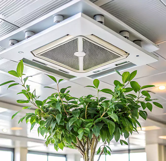 Why Homeowners & Businesses Trust Us in Ottumwa, IA?