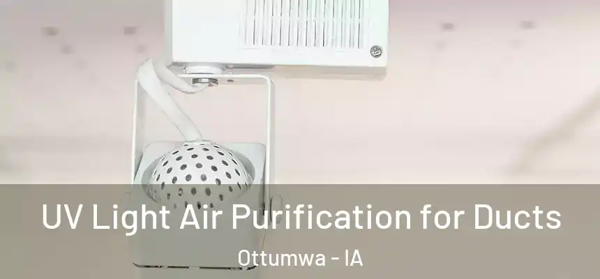  UV Light Air Purification for Ducts Ottumwa - IA
